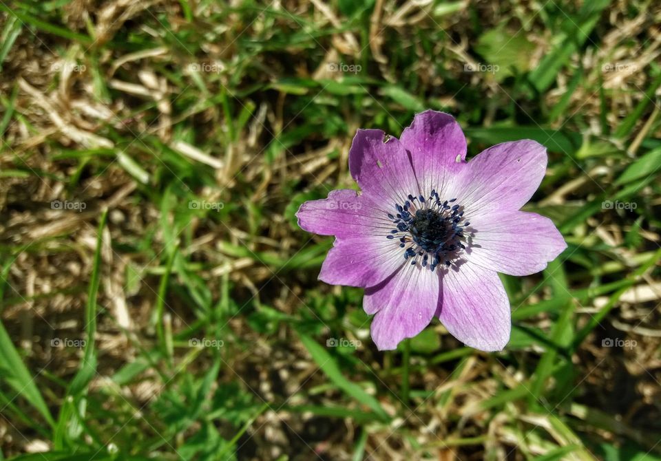 Everything smells like spring!