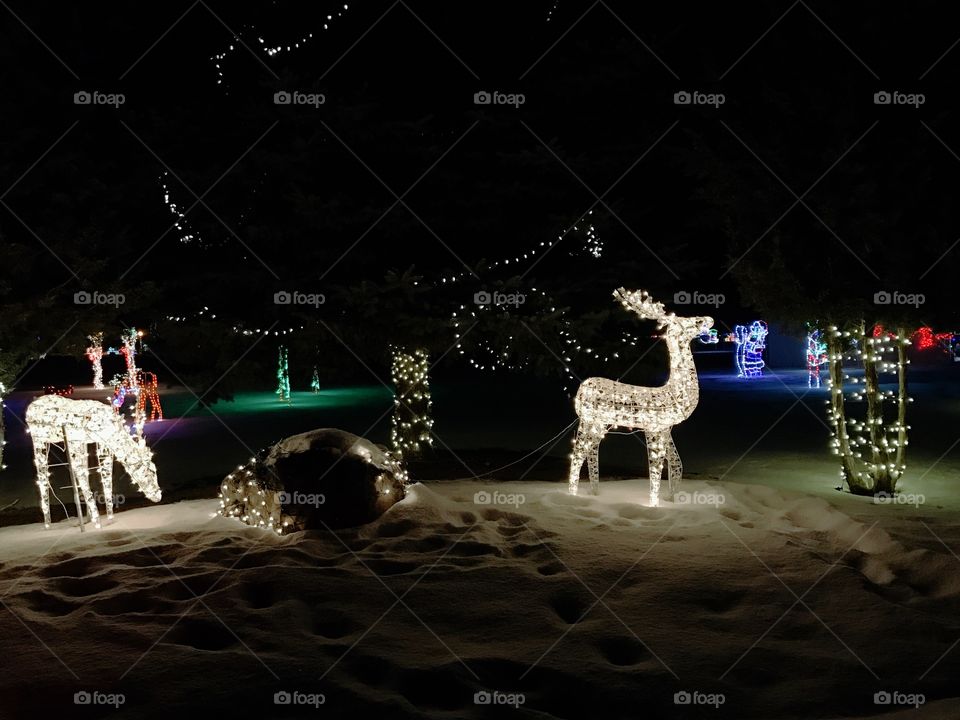 An outdoor Christmas light display shaped like deer feeding amongst the trees all lit up after dark. 