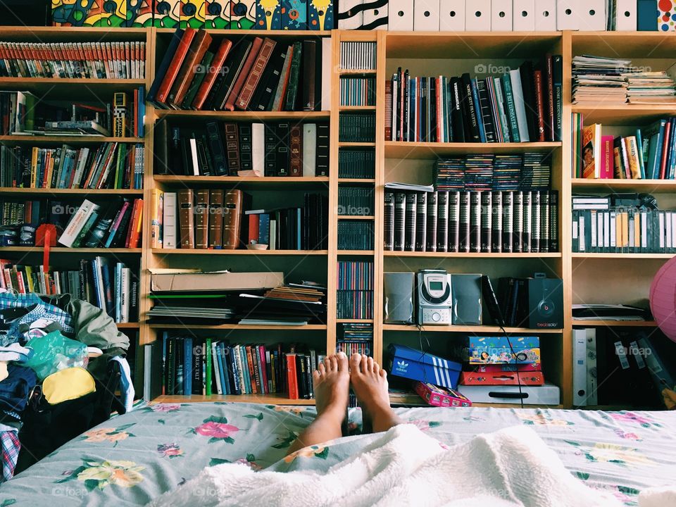 Bookcase, Shelf, Library, Furniture, Education