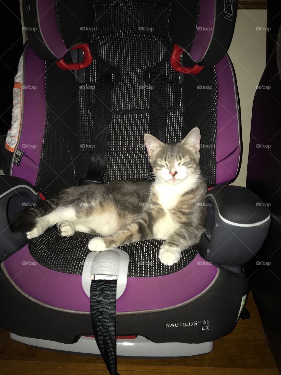 Tinkerbell naps in the car seat