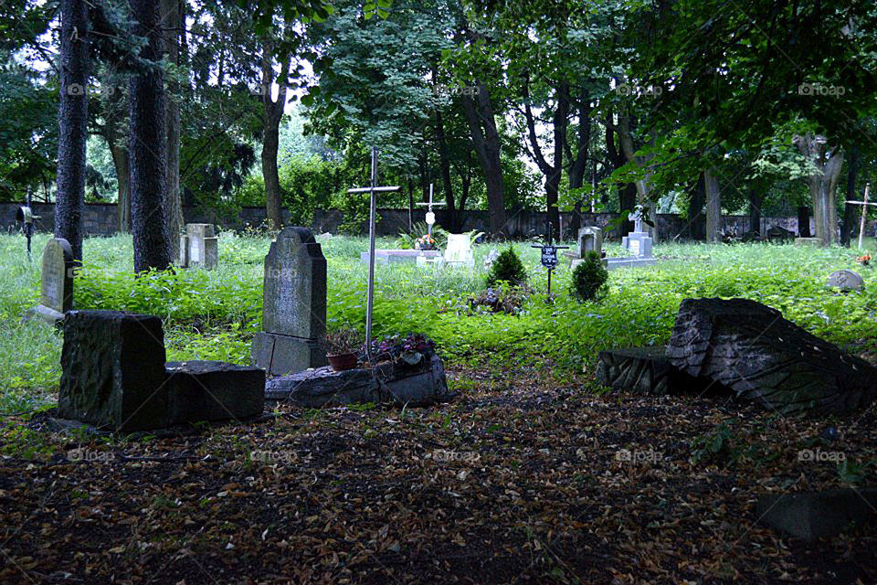 Cemetery in Boleslawiec, Poland. 