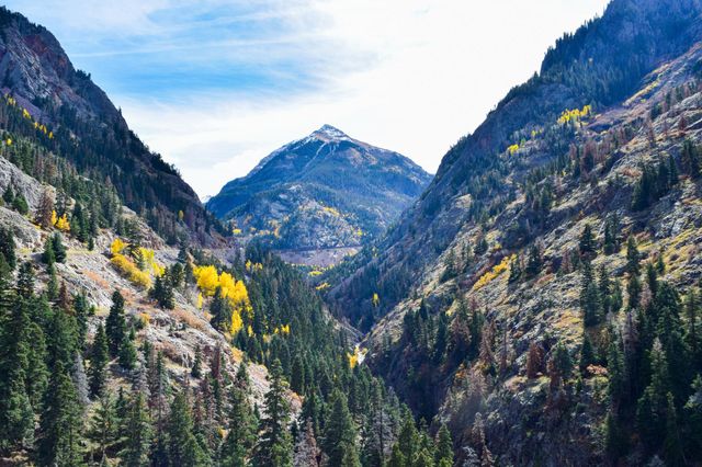 Isolated groves of aspen trees add color to shear mountain cliffs in southwest Colorado