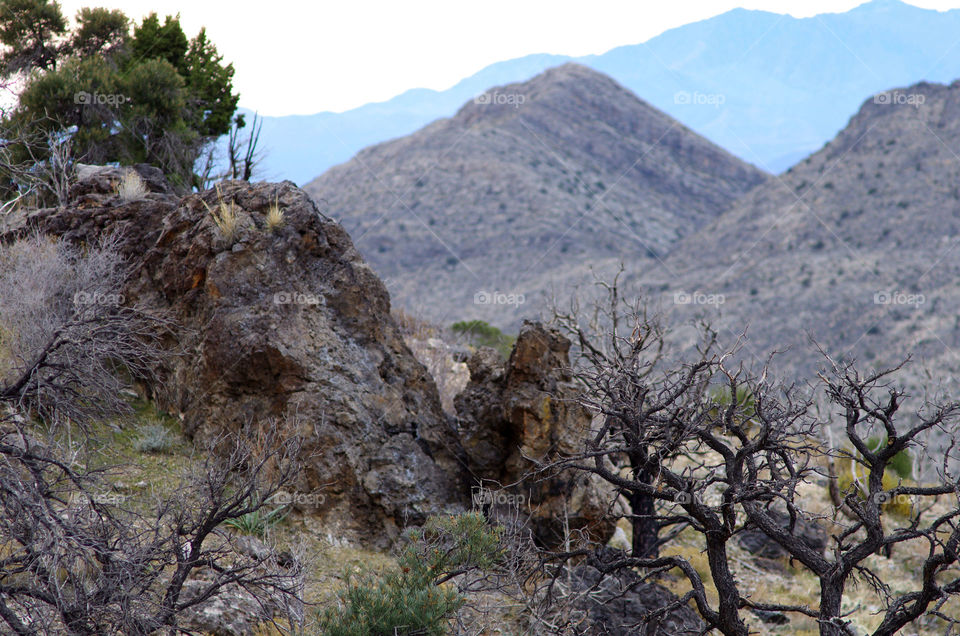 Scenic view of desert