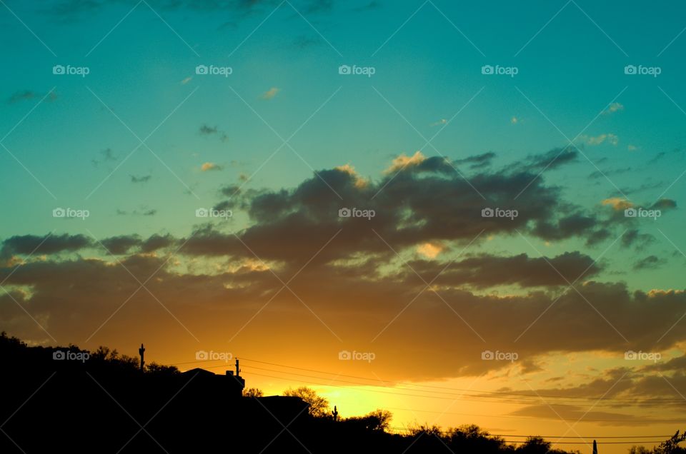 Gold Canyon hillside