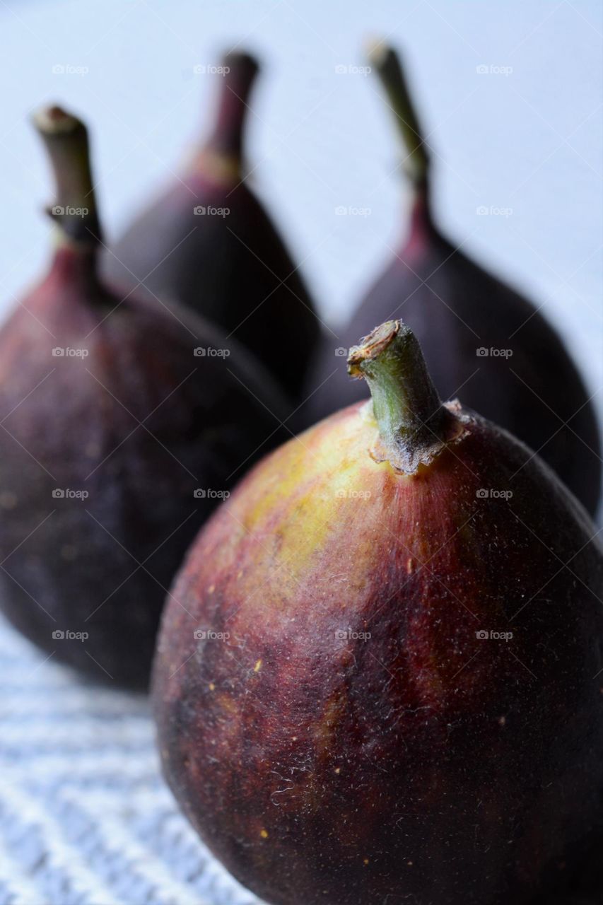 First Fig