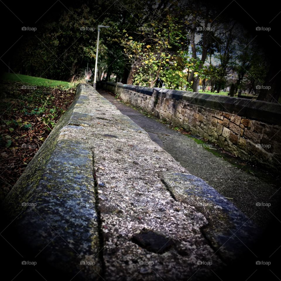 Cemetery walk, Gateshead