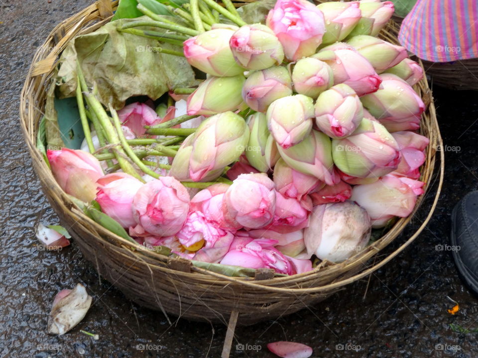 flower market in mumbai