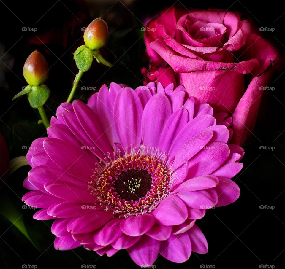 pink flowers