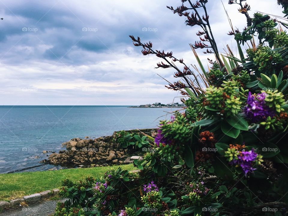 Walking by the seaside