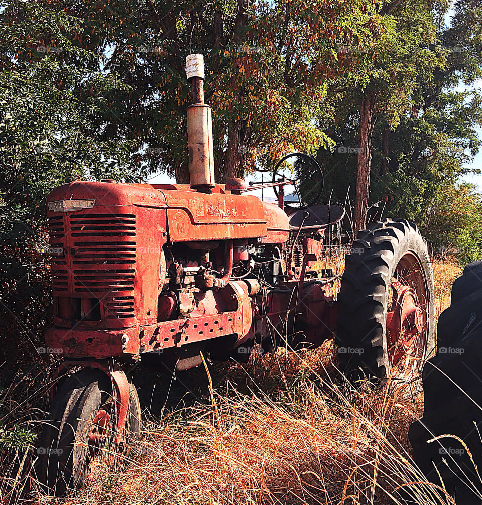 field classic history work by quick711