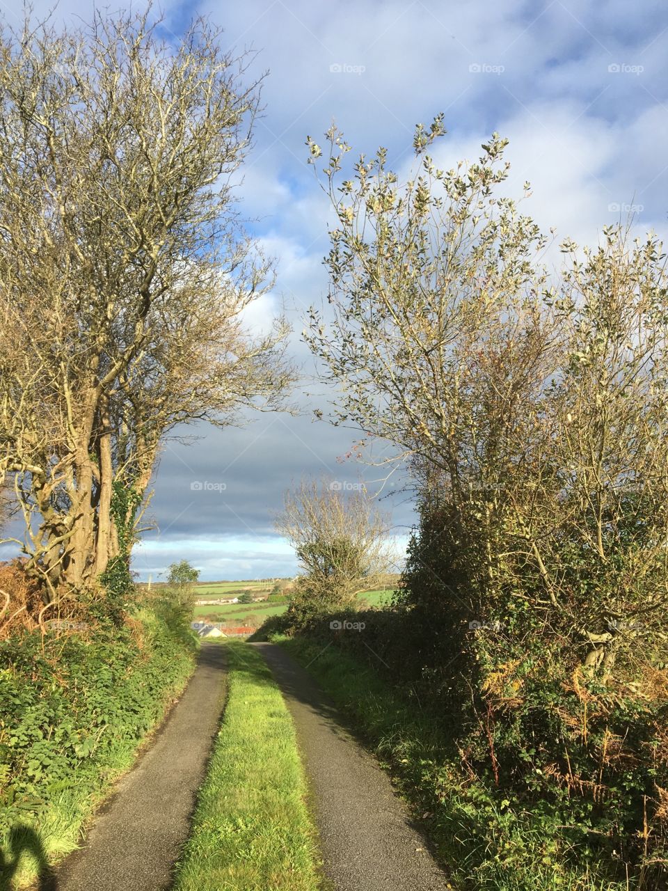 An irish country road