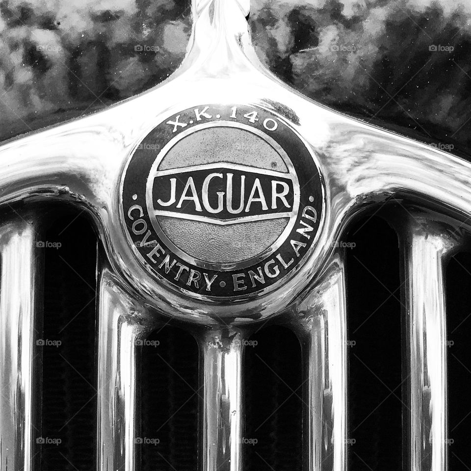 Vintage Jaguar emblem 