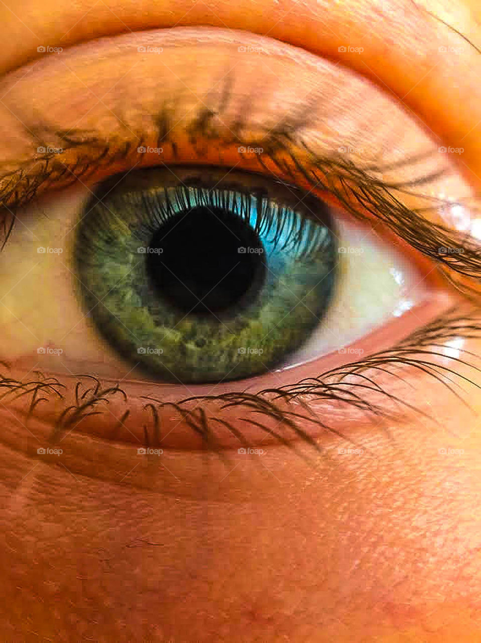 Eye iris