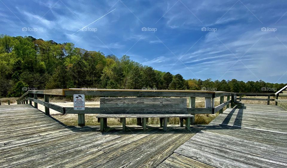 Boardwalk in Calvert Cliffs, Maryland