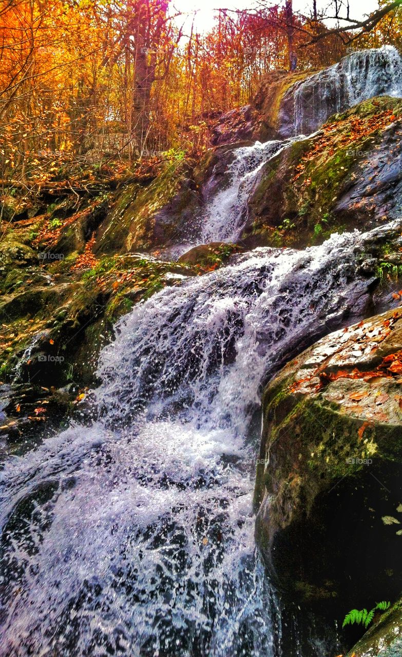 Waterfall. A beautiful waterfall seen in a forest in the Shenandoah mountains.
