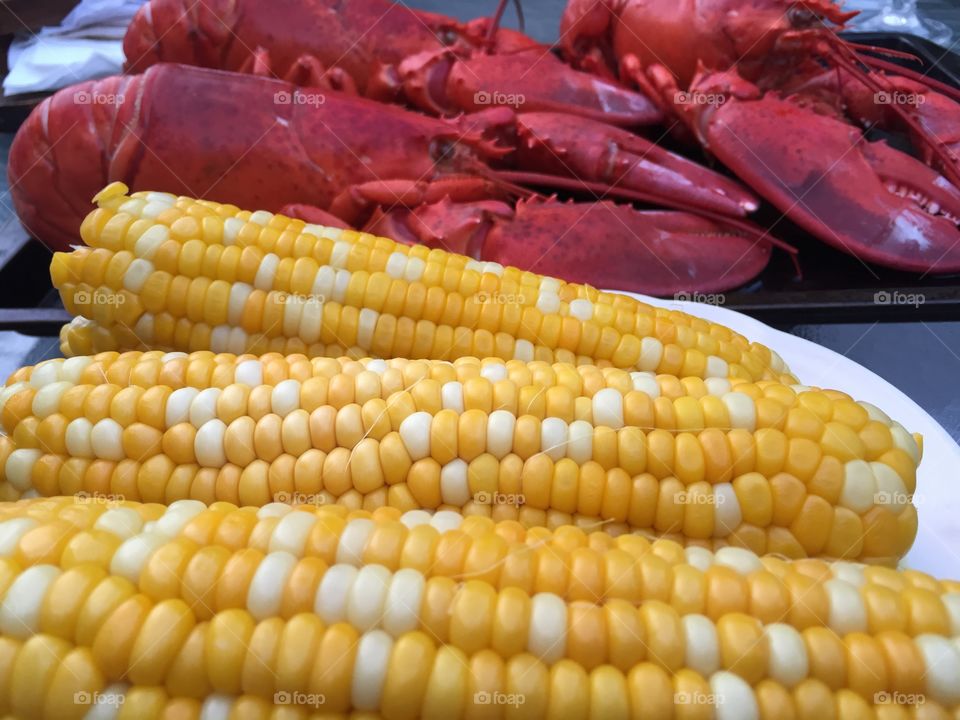 Fresh corn on the lobster from Rhode Island
