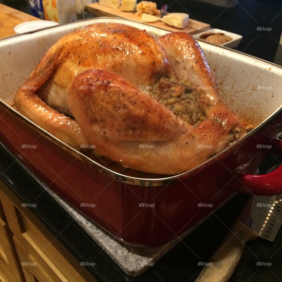 Turkey Dinner