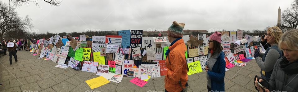 The Women’s March in Washington DC. 