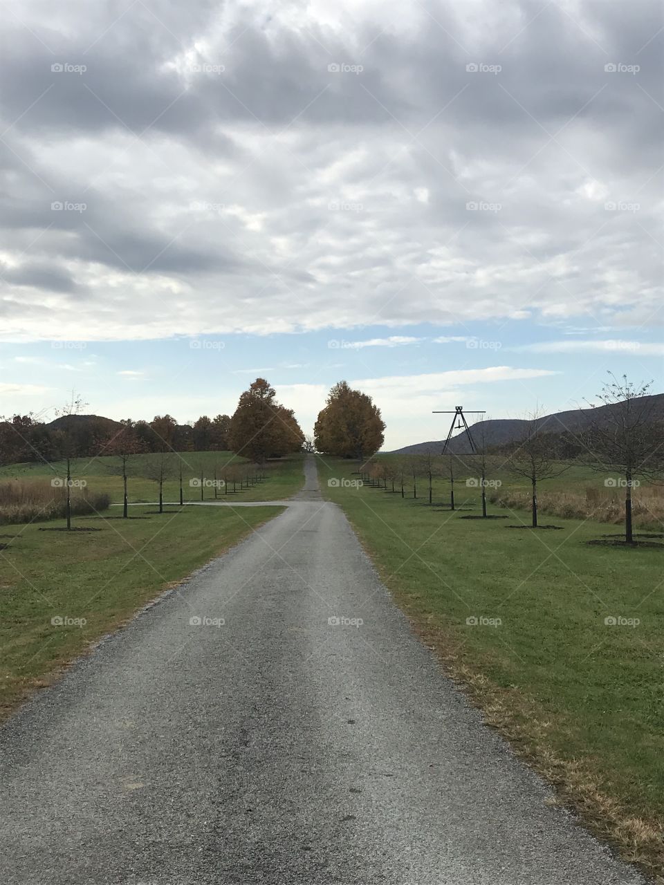 Road, Landscape, No Person, Grass, Guidance