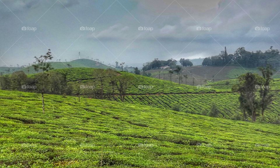 beautiful hill from Kerala, God's Own Country