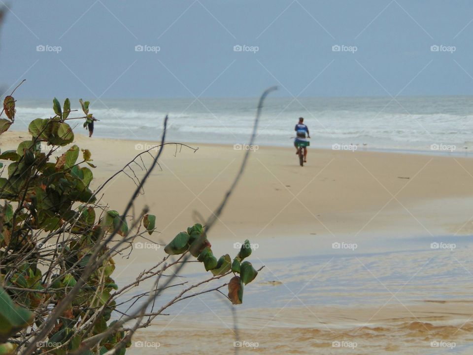 Florianópolis, Santa Catarina, Brasil