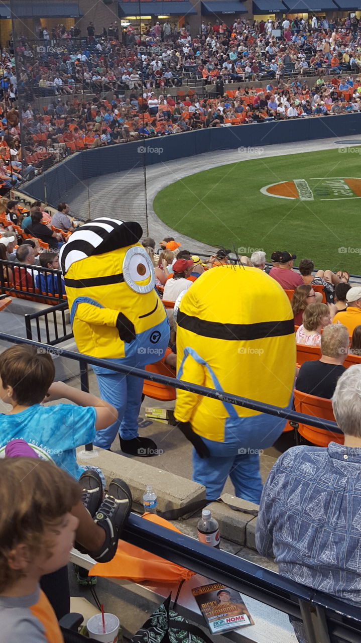 minions. Minion night at the Frederick Keys baseball game, in downtown historic Frederick, Maryland