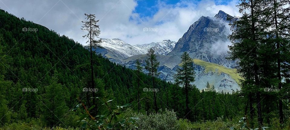 Altai Mountains