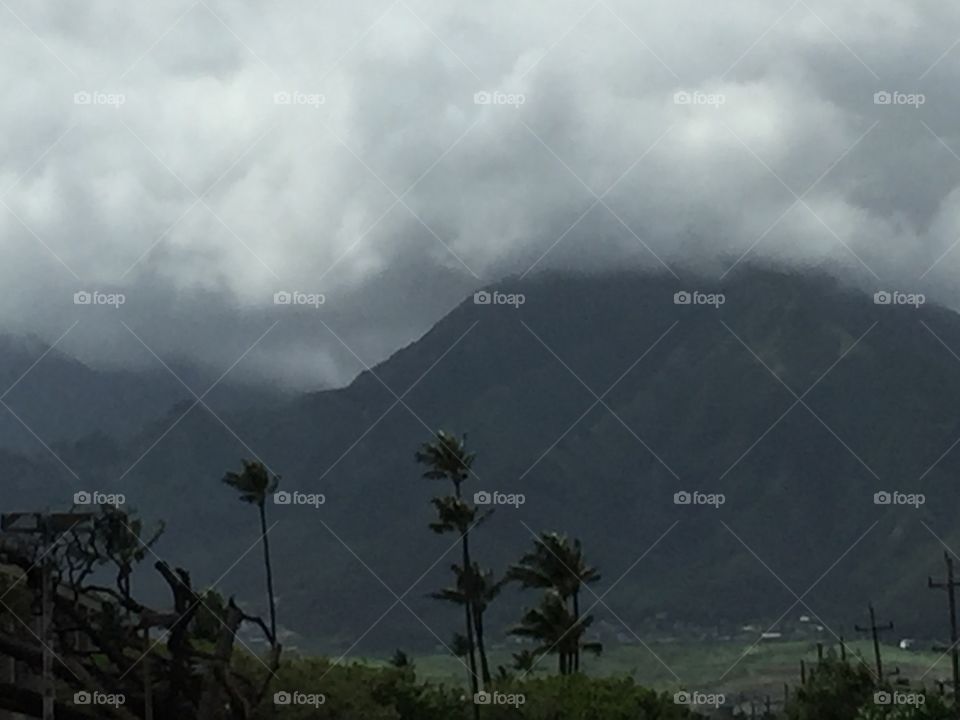 Maui Mountain 