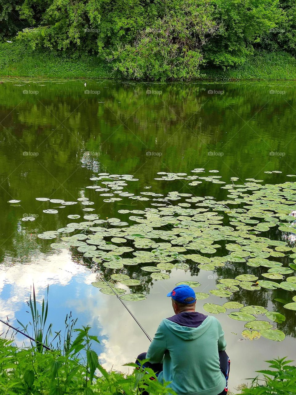 Summer.  A pond with green water lily leaves.  There are green trees on the opposite side of the pond.  A fisherman sits on the shore.  Water reflects blue sky with white clouds and green trees