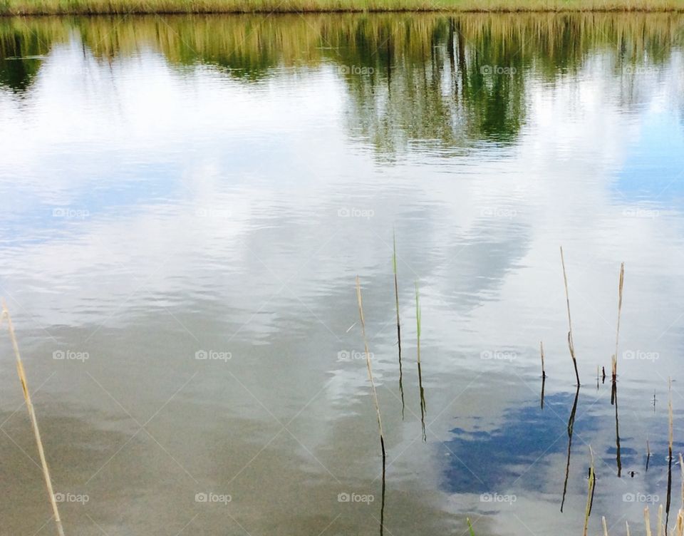 Abstract  reflection