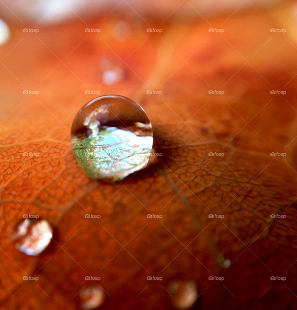 Waterdrop