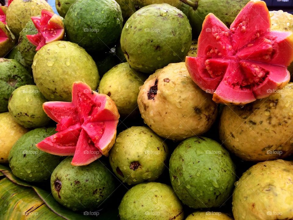 Red guava 