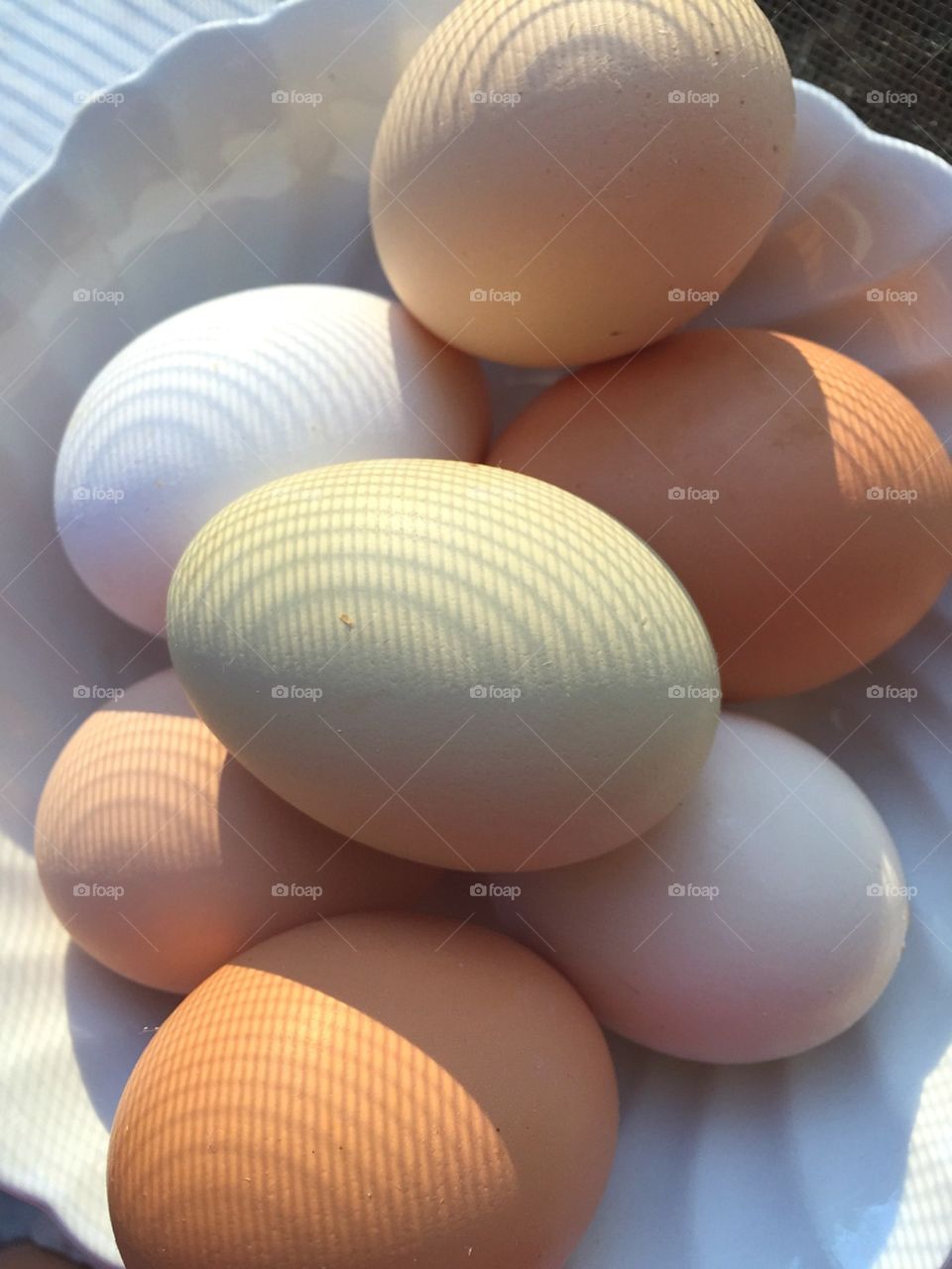 Egg-celent Day. The Hens do Egg-celent work!