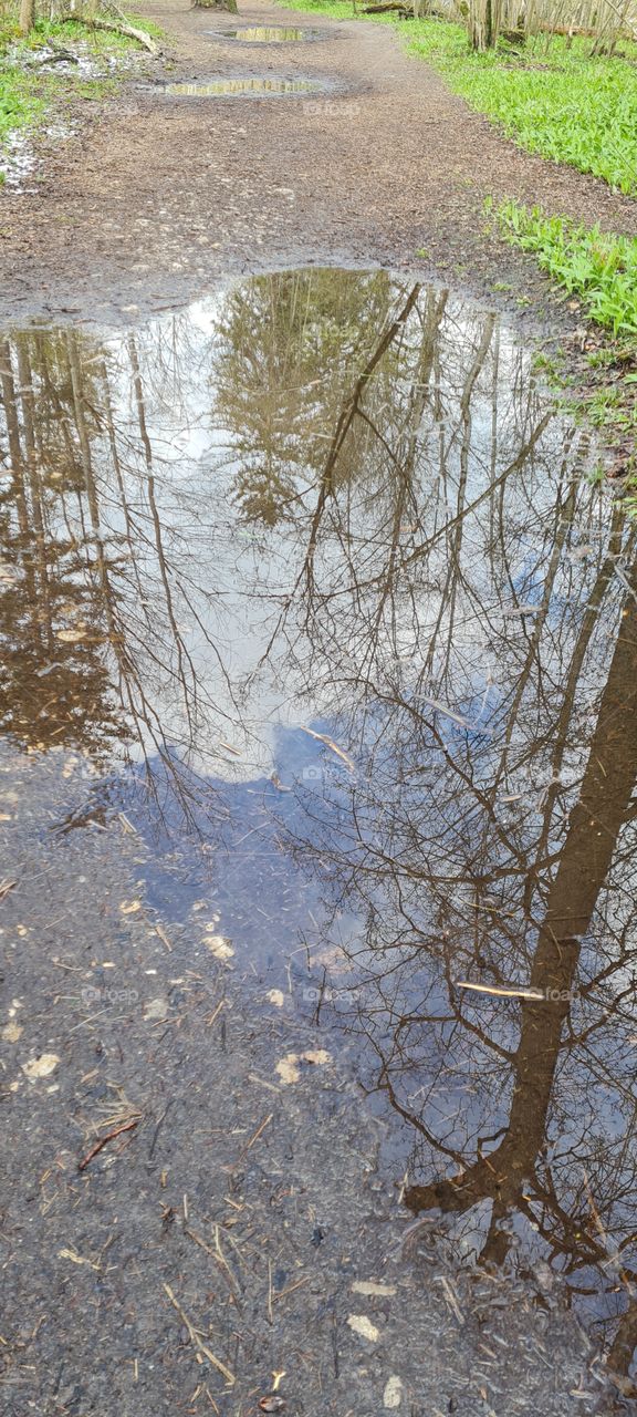 Puddles of water mirroring