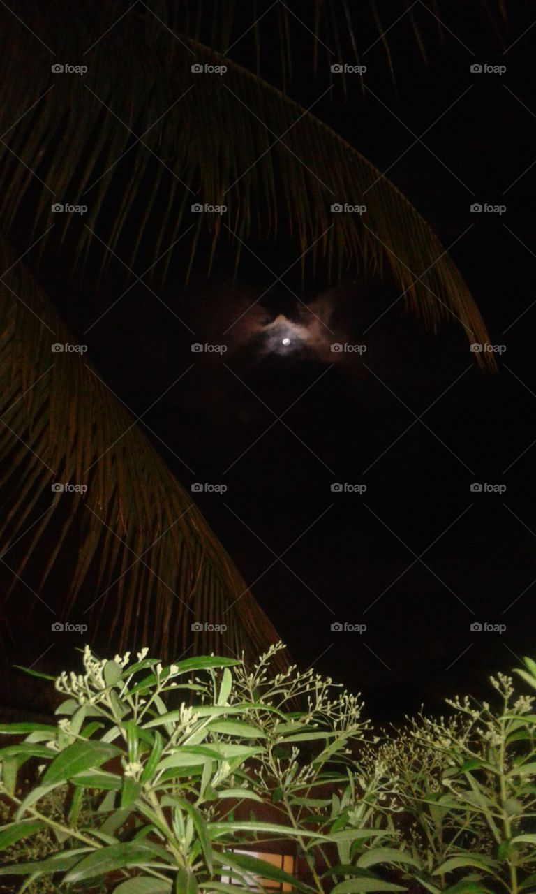 moon