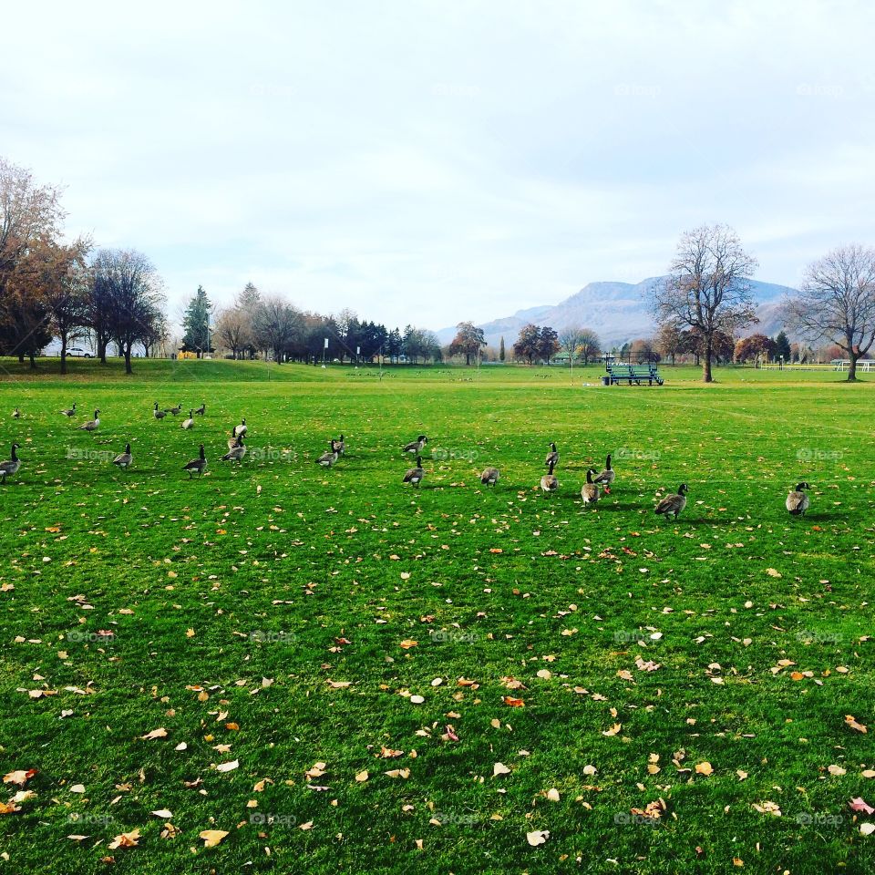 Beautiful fall day at the park! 