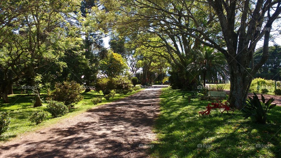 Caminhos Sombreados!