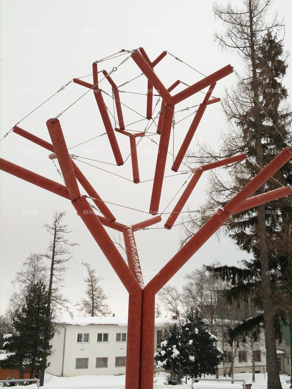 Fallen trees memorial