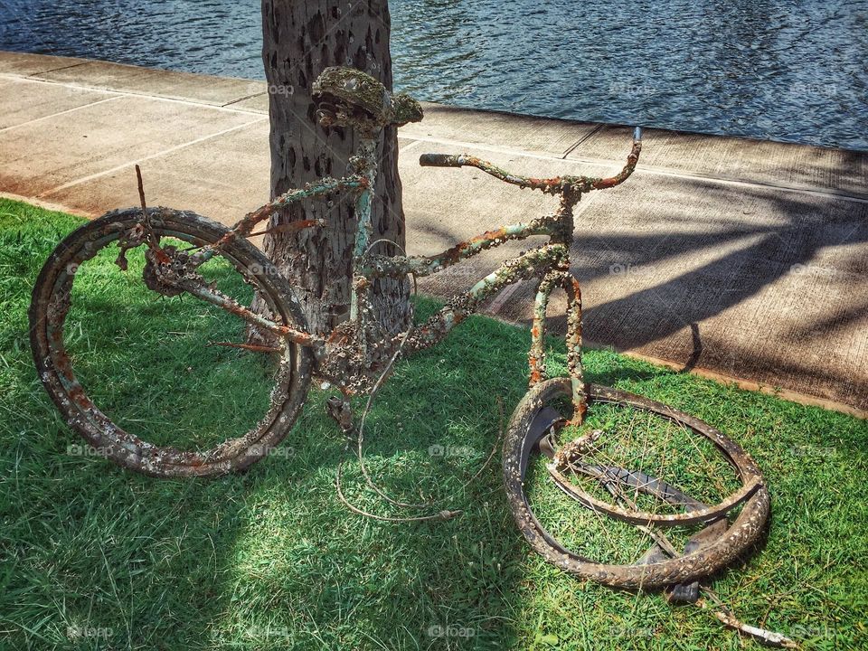 Ruined bicycle covered with barnacles 