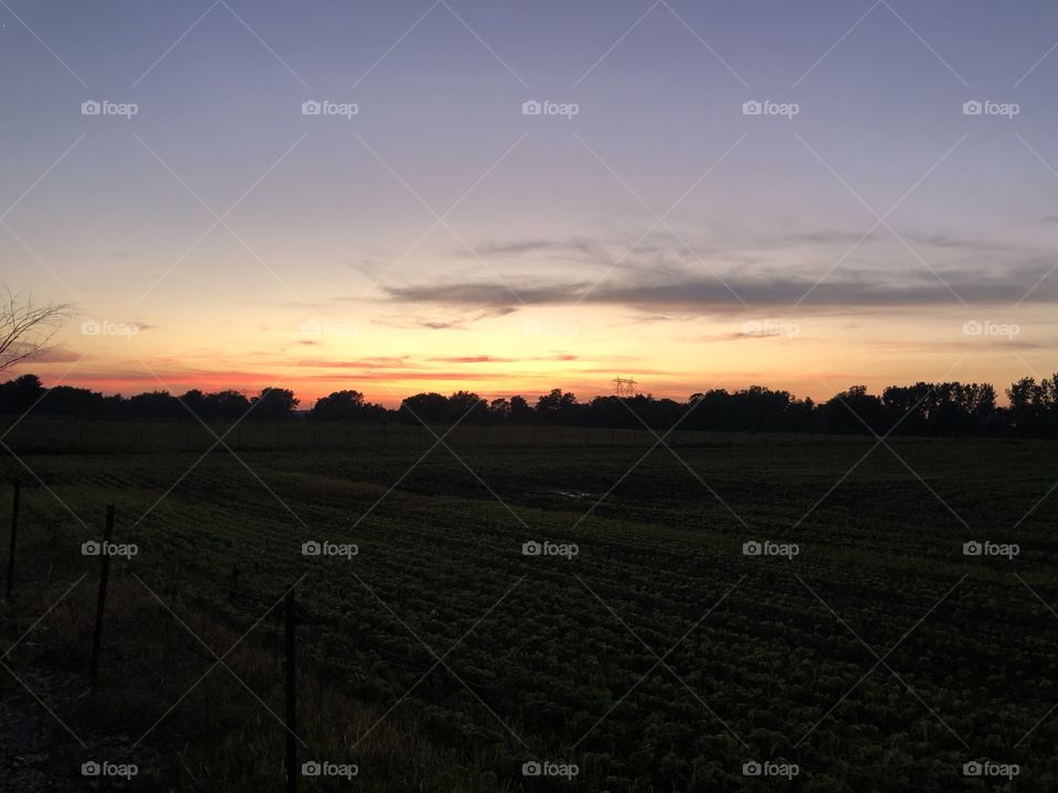 Sunset country dusk open-spaces fields 
