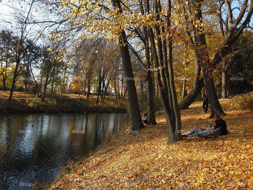 Tenderness Series: Couples