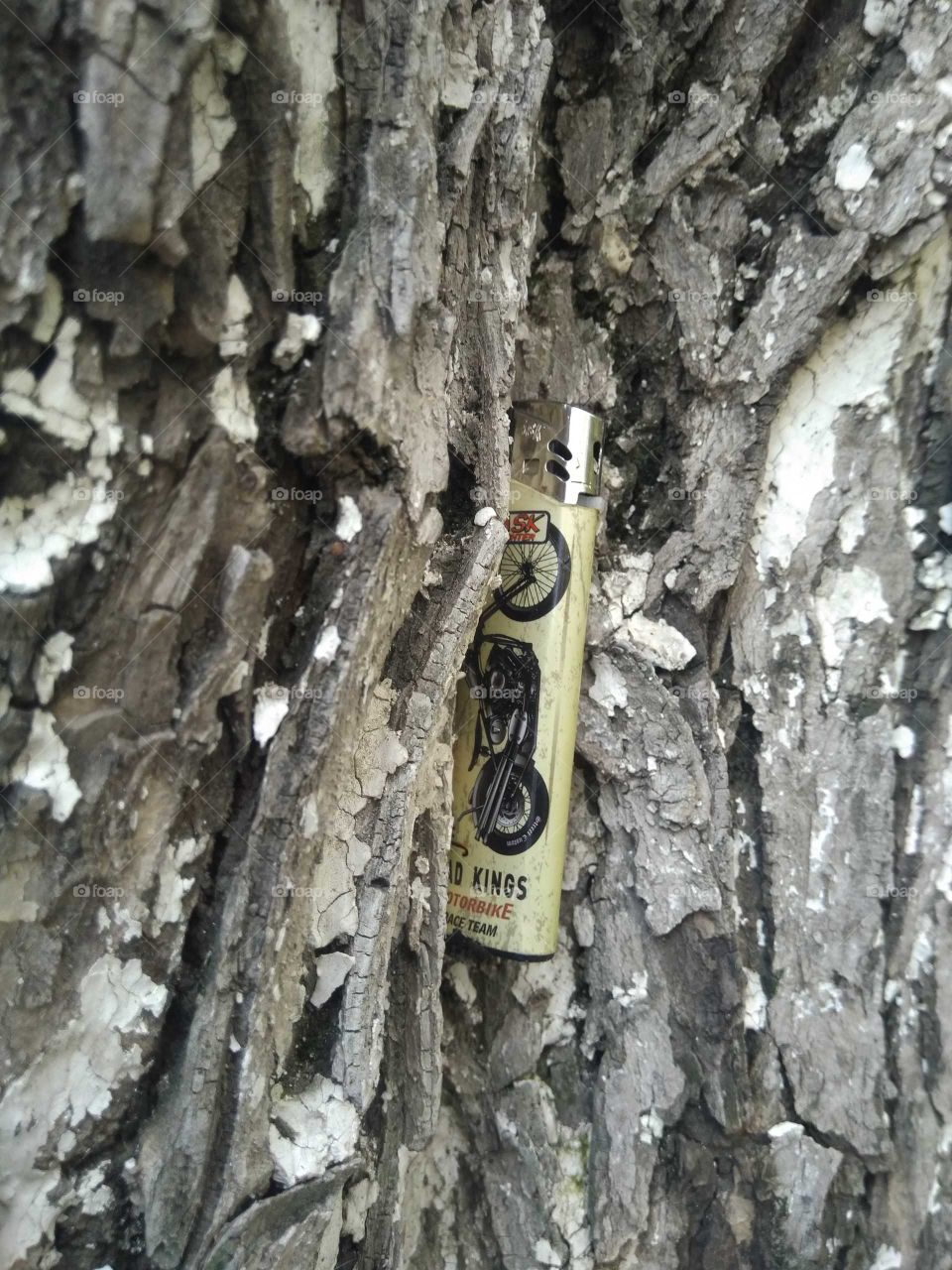 Does the tree smoke too?