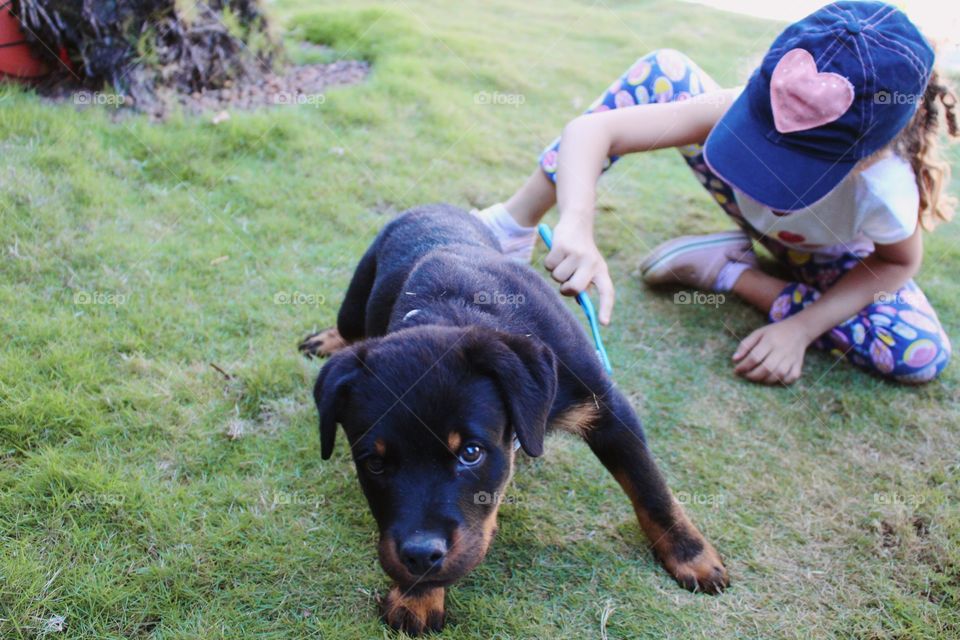 child playing with her Rottweiler puppy 