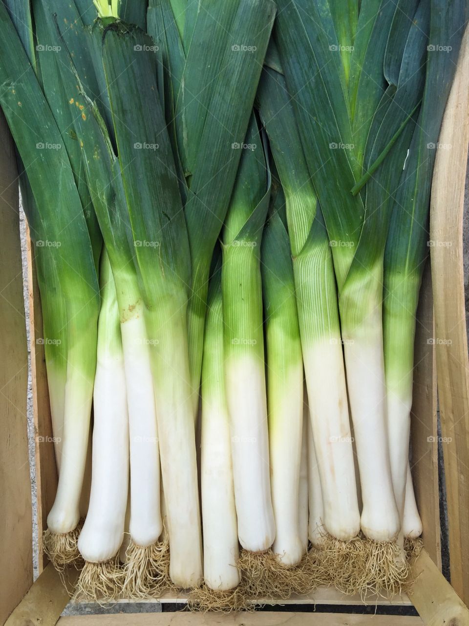 High angle view of leeks