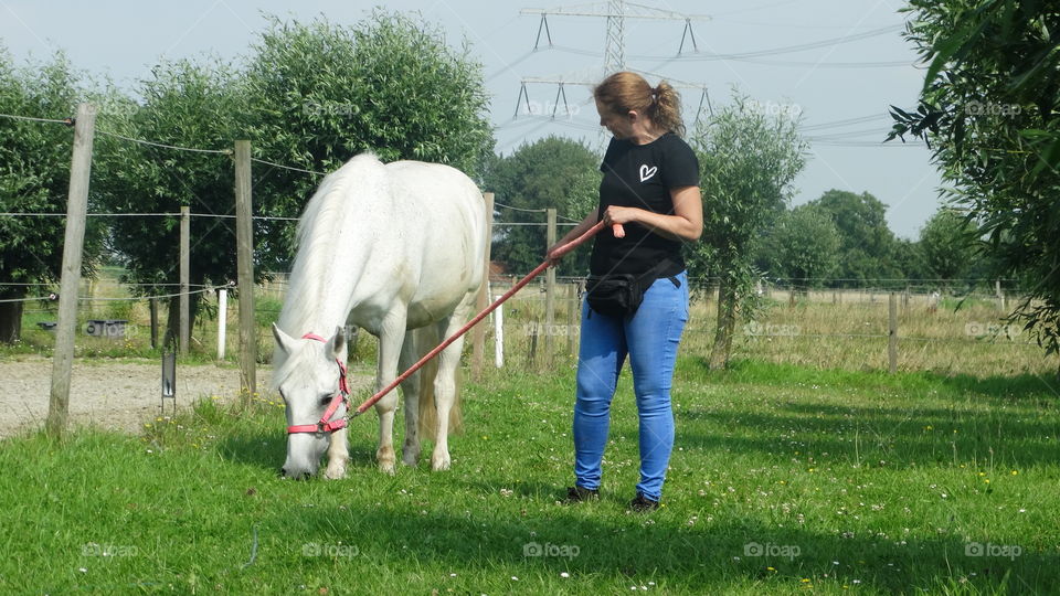 Togheter horse and boss 