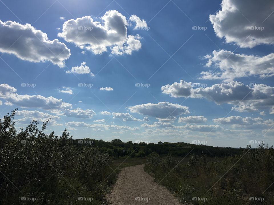 Landscape, No Person, Sky, Tree, Travel