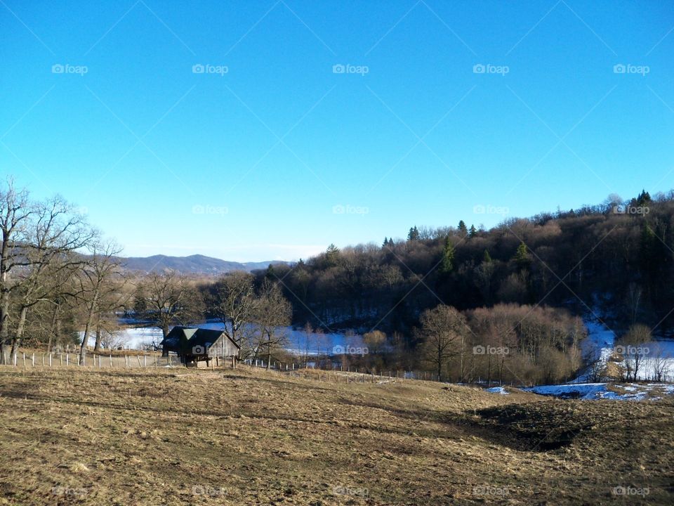 winter landscape