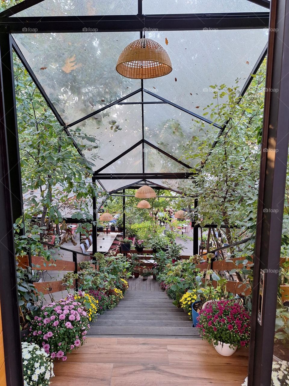 autumn garden, albanian warm autumn