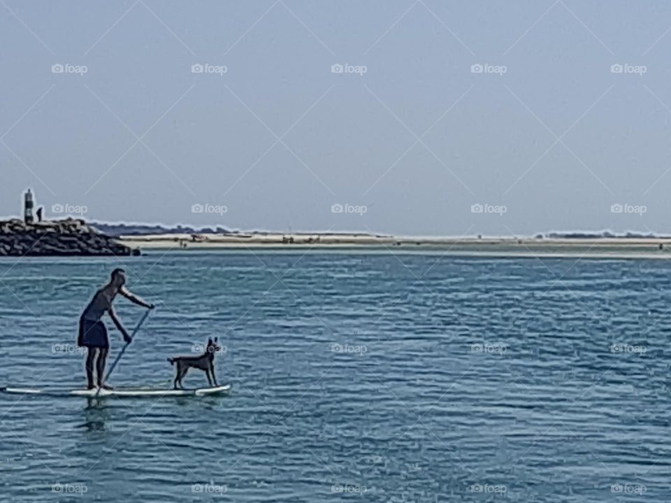 Summer Padel with Pet