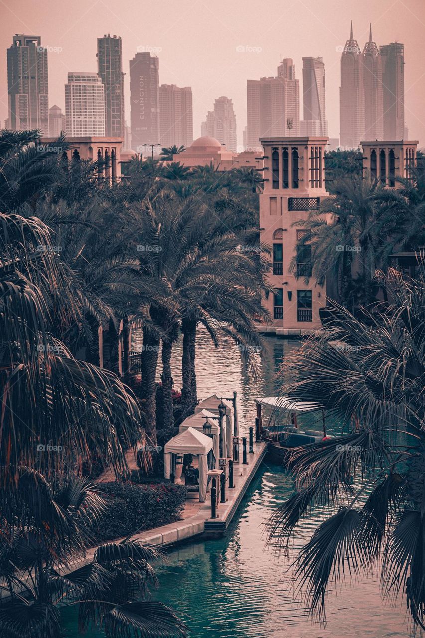 palm trees river boat bushes houses against the backdrop of tall buildings